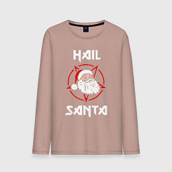 Мужской лонгслив Hail Santa