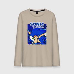 Мужской лонгслив Sonic Adventure Sonic