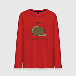 Лонгслив хлопковый мужской Yes, im just a potato, цвет: красный