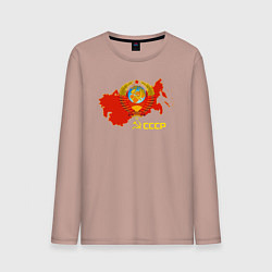 Лонгслив хлопковый мужской Герб Карта СССР, цвет: пыльно-розовый
