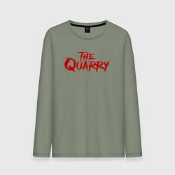 Лонгслив хлопковый мужской The Quarry logo, цвет: авокадо