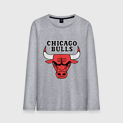 Лонгслив хлопковый мужской Chicago Bulls, цвет: меланж