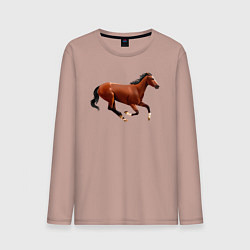 Лонгслив хлопковый мужской Чистокровная верховая лошадь, цвет: пыльно-розовый