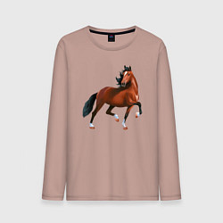 Лонгслив хлопковый мужской Хакнэ, цвет: пыльно-розовый