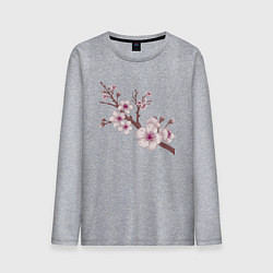 Лонгслив хлопковый мужской Ветка сакуры - весна - Япония, цвет: меланж
