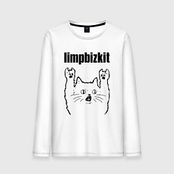Мужской лонгслив Limp Bizkit - rock cat