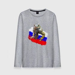 Лонгслив хлопковый мужской Ящер, цвет: меланж