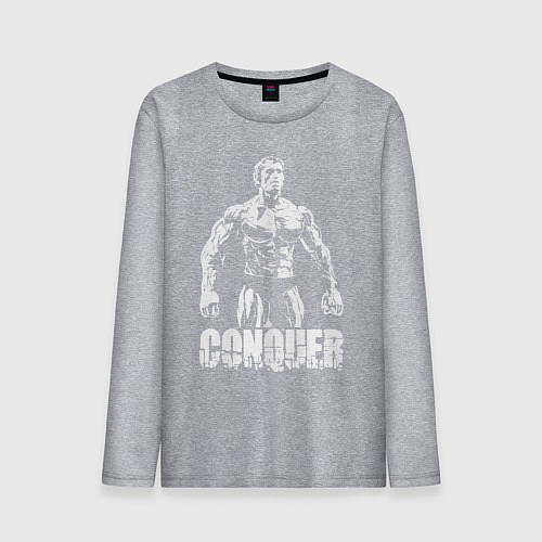 Мужской лонгслив Arnold conquer / Меланж – фото 1