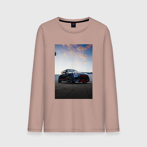 Мужской лонгслив Авто на фоне неба / Пыльно-розовый – фото 1