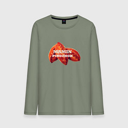 Лонгслив хлопковый мужской Мамин пирожок, цвет: авокадо