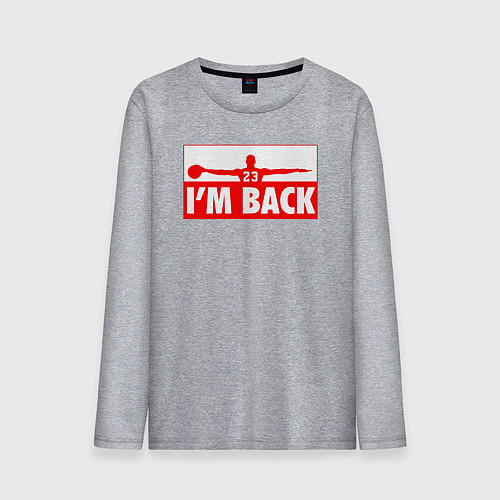 Мужской лонгслив Возвращение Джордана / Меланж – фото 1