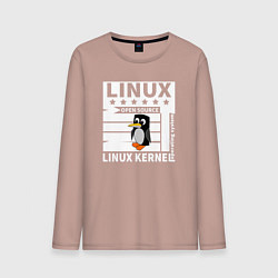 Лонгслив хлопковый мужской Пингвин программист системы линукс, цвет: пыльно-розовый