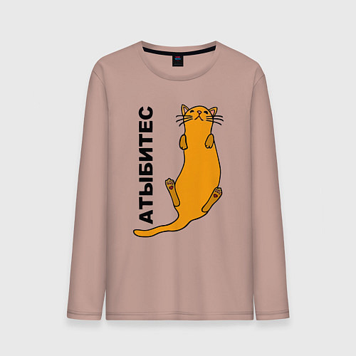 Мужской лонгслив Атыбитес / Пыльно-розовый – фото 1