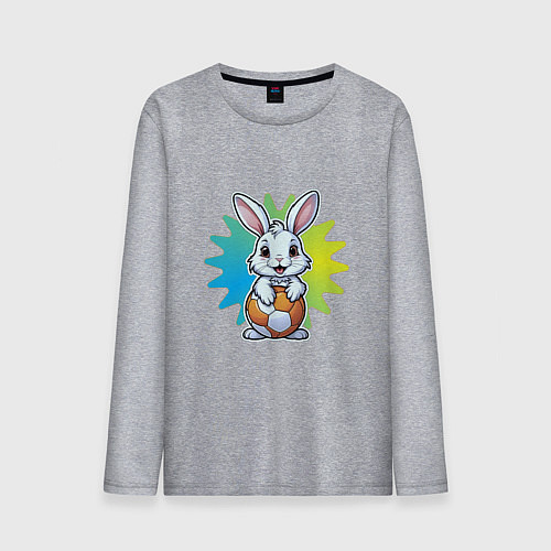 Мужской лонгслив Зайчик и мячик / Меланж – фото 1