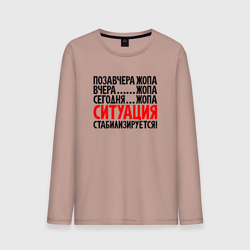Мужской лонгслив Ситуация стабилизируется / Пыльно-розовый – фото 1