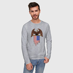 Лонгслив хлопковый мужской Орёл с американским флагом, цвет: меланж — фото 2