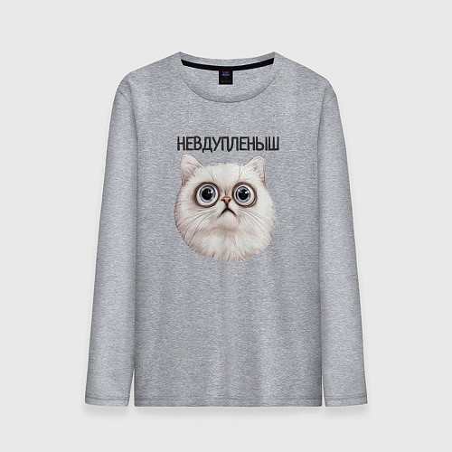 Мужской лонгслив Кот невдупленыш / Меланж – фото 1