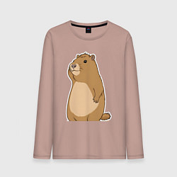 Мужской лонгслив Прекрасная капибара