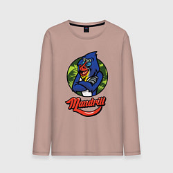 Мужской лонгслив Mandrill