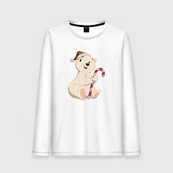 Мужской лонгслив Медвежонок с конфетой