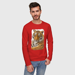 Лонгслив хлопковый мужской Tiger: retro style цвета красный — фото 2