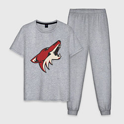 Пижама хлопковая мужская Phoenix Coyotes, цвет: меланж