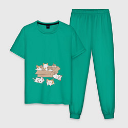 Пижама хлопковая мужская Котики в коробке, цвет: зеленый