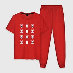 Пижама хлопковая мужская 12 эмоций бультерьера, цвет: красный
