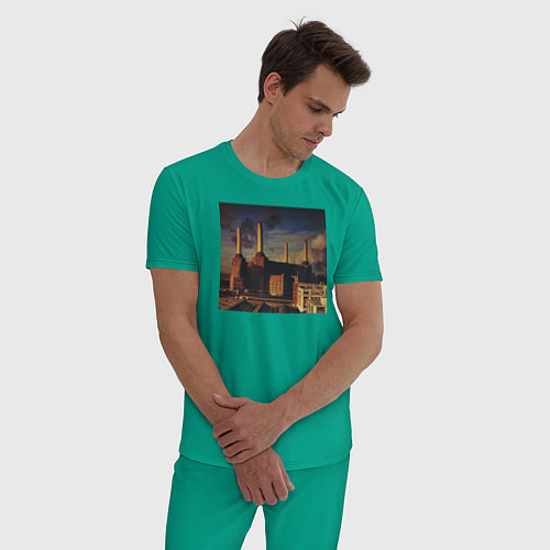 Мужская пижама Pink Floyd: Animals / Зеленый – фото 3