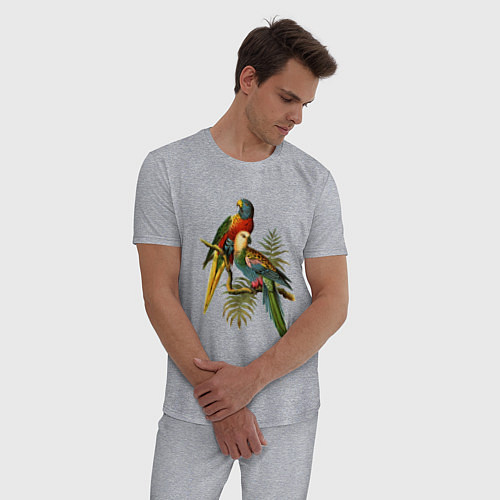 Мужская пижама Тропические попугаи / Меланж – фото 3