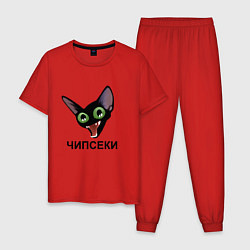 Пижама хлопковая мужская Чипсеки: кот-мем, цвет: красный