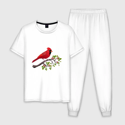 Мужская пижама Красный кардинал / Белый – фото 1