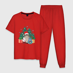 Пижама хлопковая мужская New Year Totoro, цвет: красный