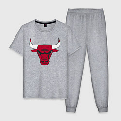 Пижама хлопковая мужская Chicago Bulls, цвет: меланж