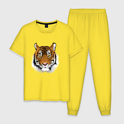 Мужская пижама Тигр