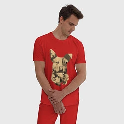 Пижама хлопковая мужская FC5: Бумер, цвет: красный — фото 2