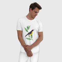 Пижама хлопковая мужская Птица, цвет: белый — фото 2