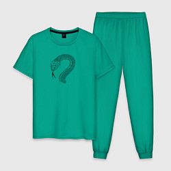 Пижама хлопковая мужская Змей графика 1, цвет: зеленый