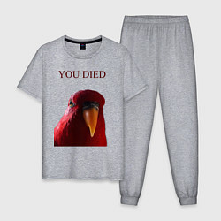 Пижама хлопковая мужская Красный попугай, цвет: меланж