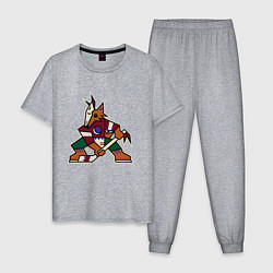 Пижама хлопковая мужская Аризона Койотис логотип, цвет: меланж