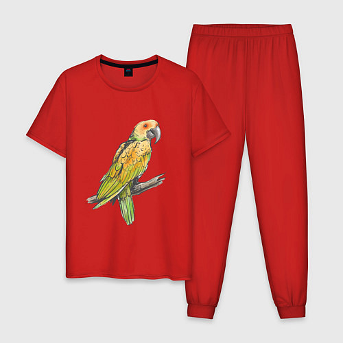 Мужская пижама Любимый попугай / Красный – фото 1