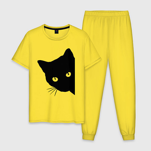 Мужская пижама Всё тот же чёрный котяра! / Желтый – фото 1