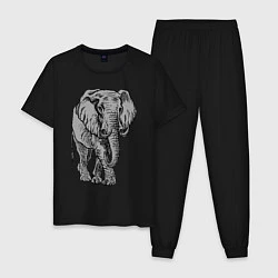 Пижама хлопковая мужская Огромный могучий слон, цвет: черный