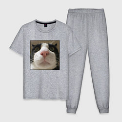 Пижама хлопковая мужская Задумчивый кот, цвет: меланж