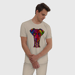 Пижама хлопковая мужская Психоделически раскрашенный слон, цвет: миндальный — фото 2