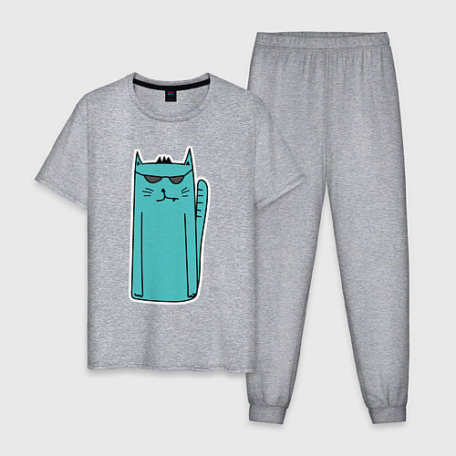 Мужская пижама Бирюзовый кот / Меланж – фото 1