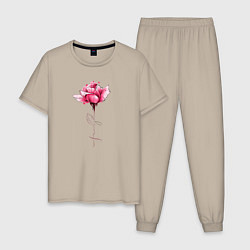 Пижама хлопковая мужская Роза с надписью FAMILY, цвет: миндальный