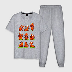 Пижама хлопковая мужская Йога красной панды, цвет: меланж