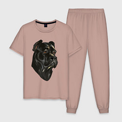 Пижама хлопковая мужская Портрет Кане-корсо, цвет: пыльно-розовый