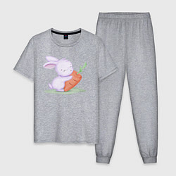 Пижама хлопковая мужская Милый Крольчонок На Лужайке С Морковкой, цвет: меланж